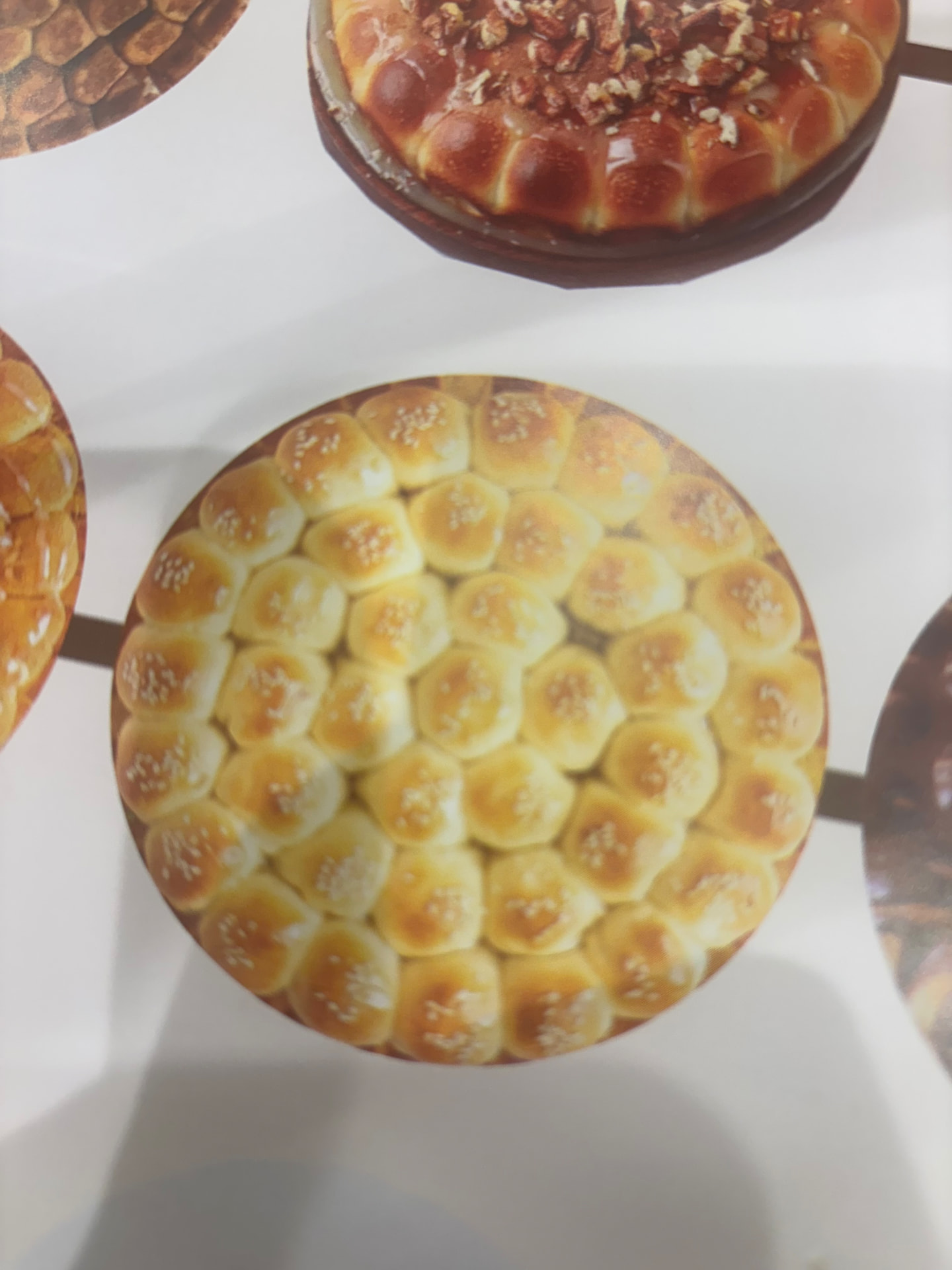 Sesame beehive — خلية سمسم