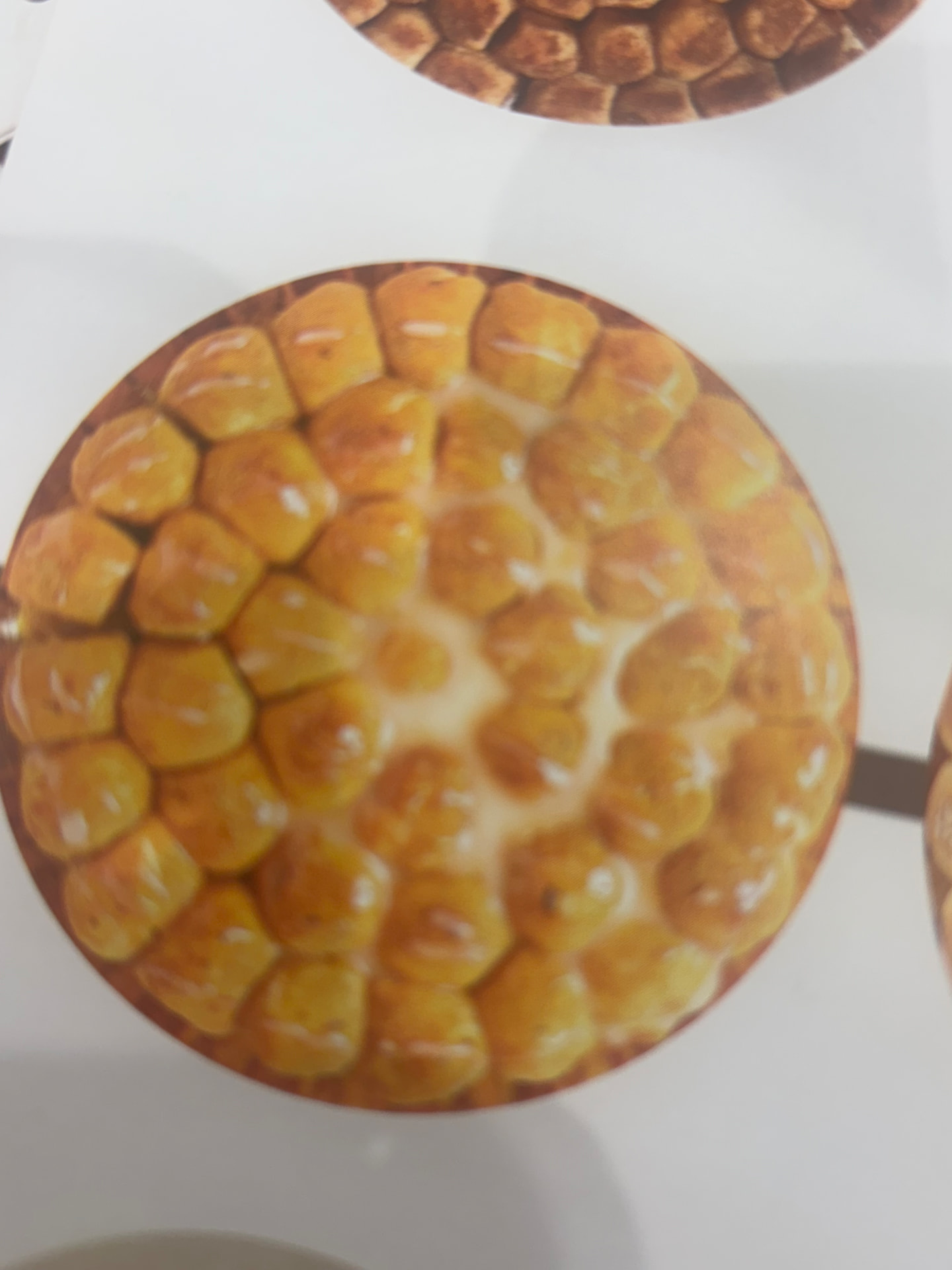 Nestle white beehive — خلية نستله الأبيض